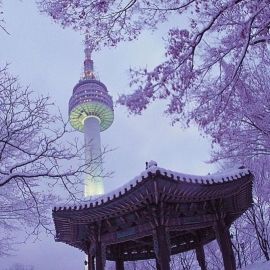 Корея зимой сеул (50 фото)