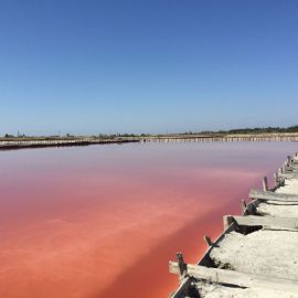 Лемурийское розовое озеро (49 фото)