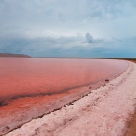 Сукко розовое озеро (50 фото)