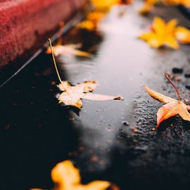 Осень эстетика дождь (53 фото)