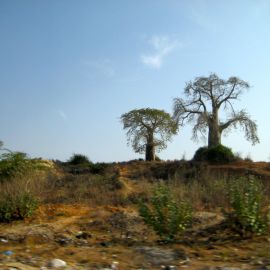 Ангола природа (42 фото)