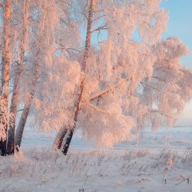 Пороша зима (71 фото)