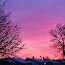 Розовое зимнее небо (41 фото)
