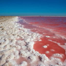 Розовое озеро хиллер (56 фото)