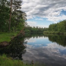 Прорва река (47 фото)