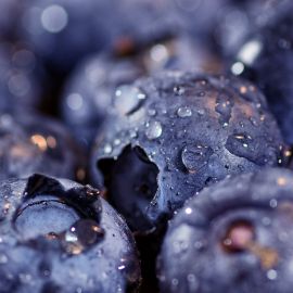 Темно синие ягоды (49 фото)