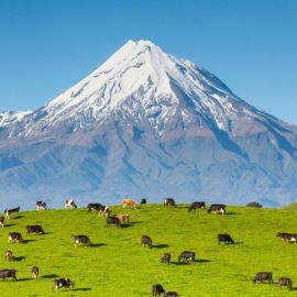Вулканы новой зеландии (49 фото)