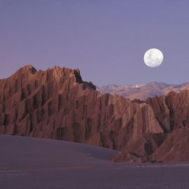 Пустыня на севере чили (41 фото)
