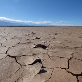 Пустыня засуха (37 фото)