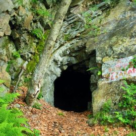 Вход в пещеру лес мотийимы (37 фото)