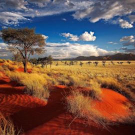 Пустыня в южной африке (41 фото)