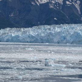 Ледник толля (37 фото)