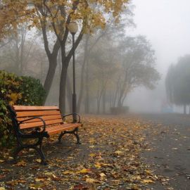 Осень грустная пора (37 фото)