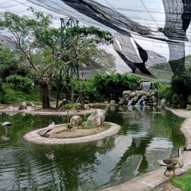 Ботанический сад куала лумпур (35 фото)