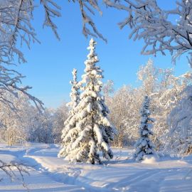 Красивые зимние пейзажи (40 фото)