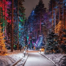 Охта парк зимой (40 фото)