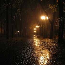 Дождь фонари (38 фото)