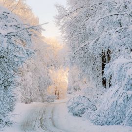 Сателлит белый снег (38 фото)