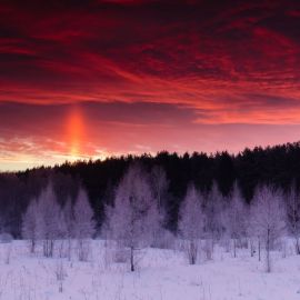 Алая зима (41 фото)