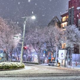 Зима в токио (30 фото)