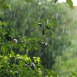 Дожди в башкирии (41 фото)