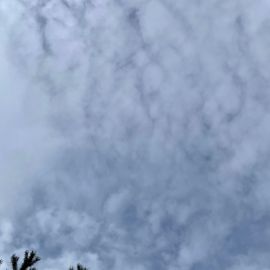 Осенью небо с проседью (35 фото)