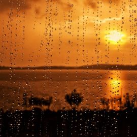 Дождь рассвет (39 фото)
