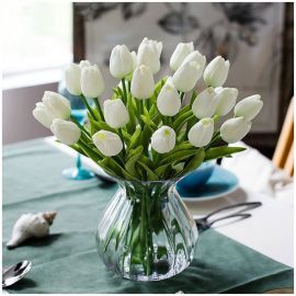 Белые тюльпаны (36 фото)