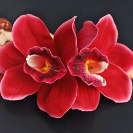 Красная орхидея (26 фото)