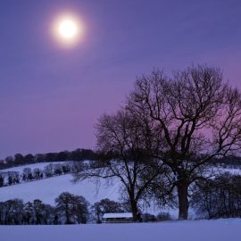 Снежная равнина белая луна (35 фото)