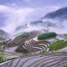 Китайская равнина (22 фото)