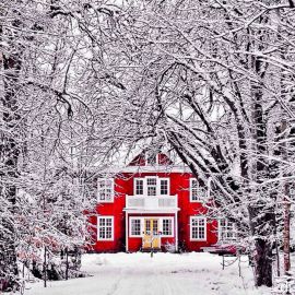 Красная зима (35 фото)