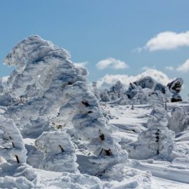Снежный шерегеш (38 фото)