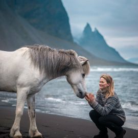 Исландская лошадь (40 фото)