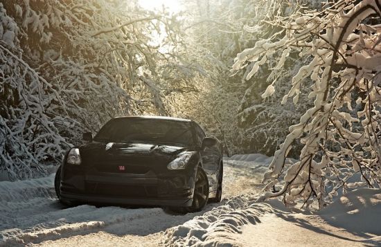 Машина в лесу зимой (21 фото)