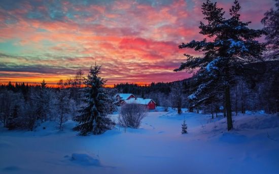 Вечерний зимний лес (88 фото)