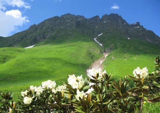 Альпийские Луга Абхазия (119 фото)