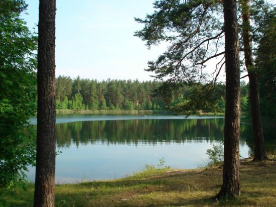 Зелёное озеро Луга (71 фото)