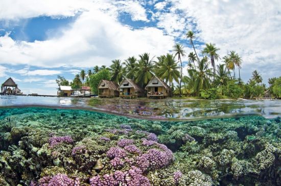 Остров Таити (70 фото)