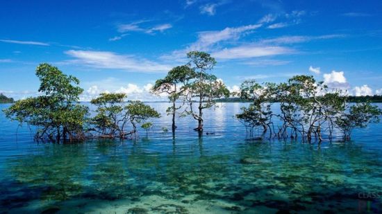 Андаманские острова (41 фото)
