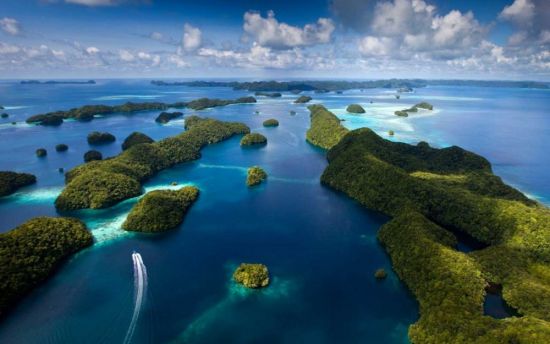 Остров Палау (60 фото)