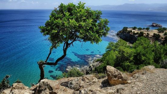 Остров Пафос (57 фото)
