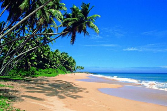 Шри Ланка пляжи (57 фото)