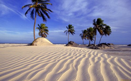 Пляж с белым песком (80 фото)