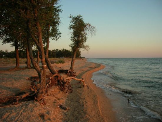 Азовское море Ейск (98 фото)