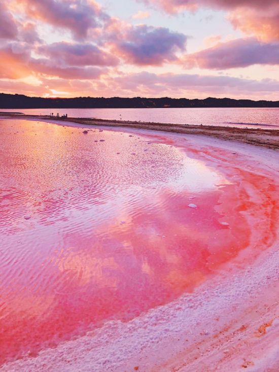 Розовое озеро в Австралии (50 фото)