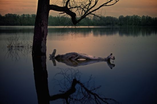 Озеро Бросно чудовище (42 фото)