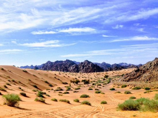 Аравийский полуостров (67 фото)