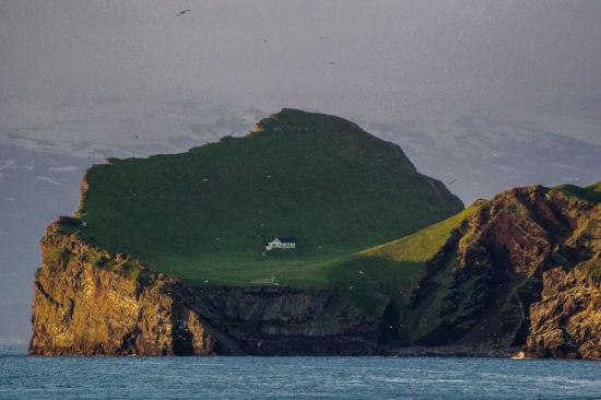 Сюртсей остров в Исландии (62 фото)
