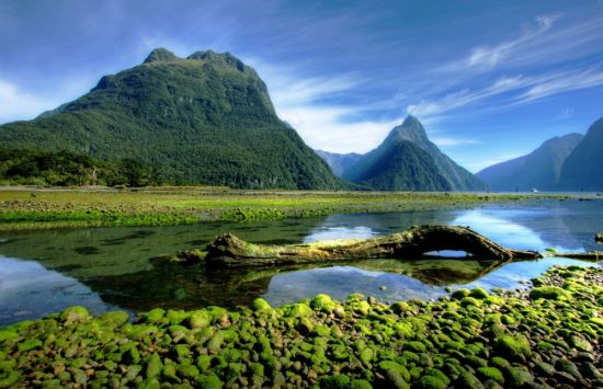 Остров Зеландия (63 фото)